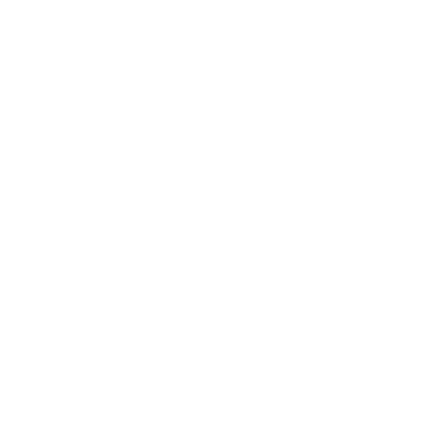 Dziewczyny na Politechniki